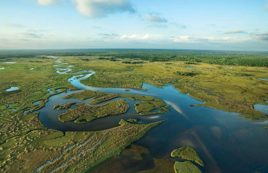 Everglades National Park, Florida, USA